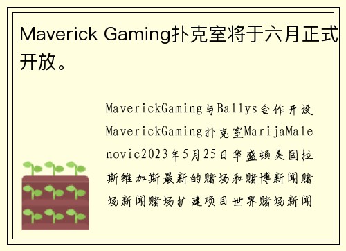 Maverick Gaming扑克室将于六月正式开放。